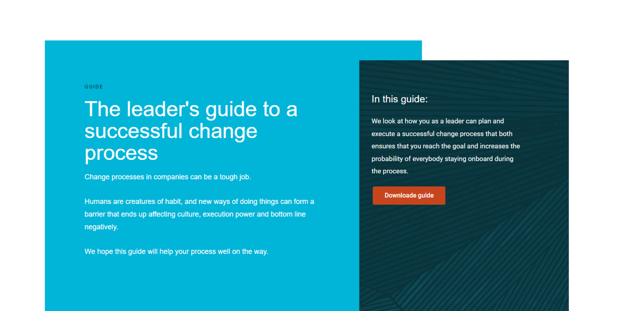 Culture, leadership & sales - Intenz