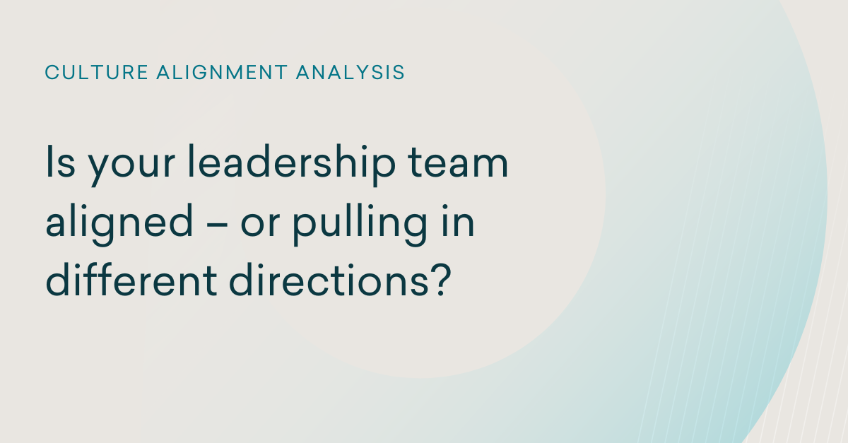 Culture Alignment Analysis - intenz